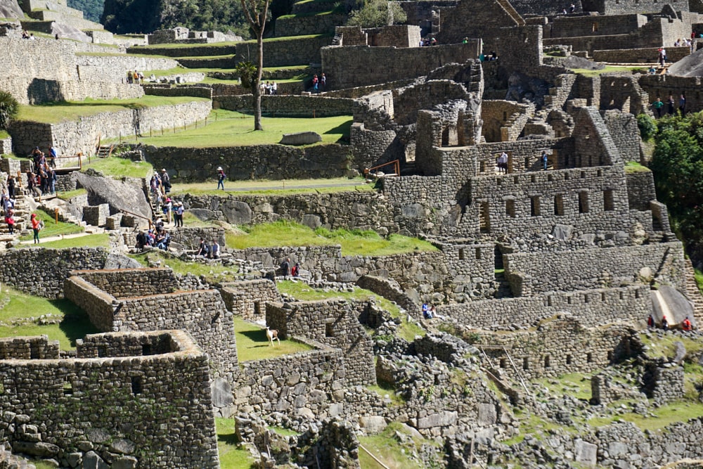Machu Picchu: het iconische einde van de Inca Trail | Reisverslag Peru #10 | Peru 2018 Ronddwalen in het prachtige Machu Picchu