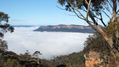De Blue Mountains in Australië_ een wandelparadijs