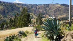 Backpacken in Peru_ praktische tips