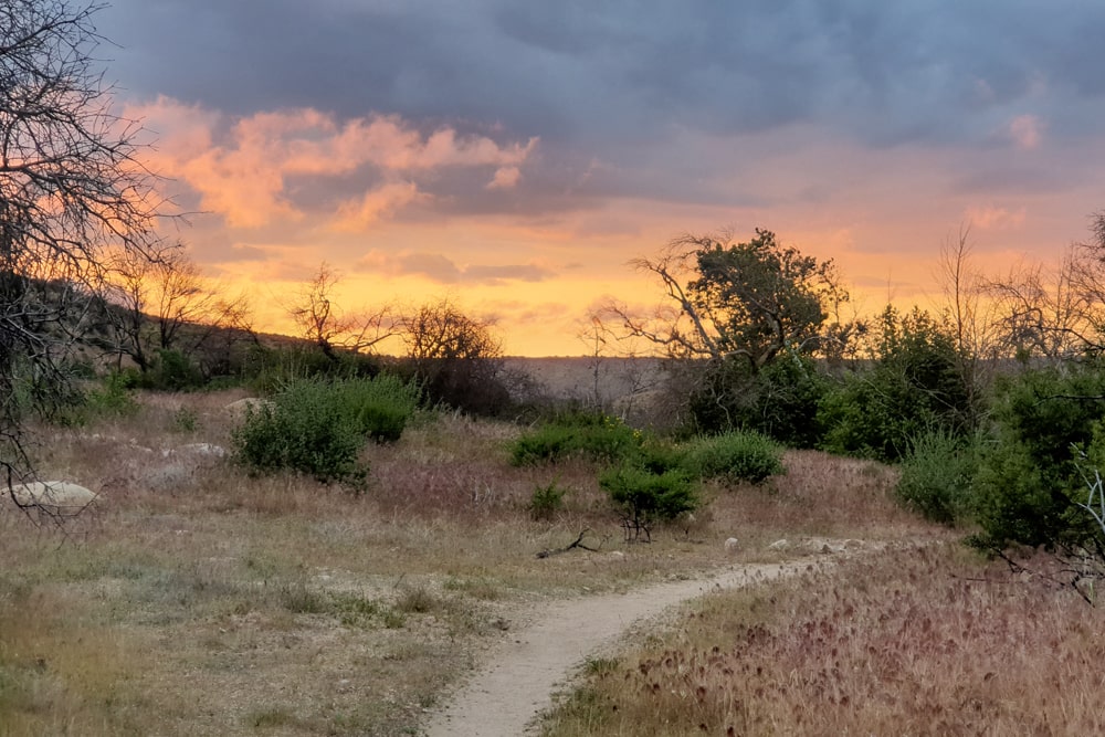 PCT week 4: van Big Bear Lake naar Wrightwood | Reisverslag Amerika 2019 | Amerika 2019 Mooie lucht vanaf onze kampeerplek