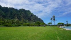 Oahu_ jarig op Hawaii _ Reisverslag Amerika 2019