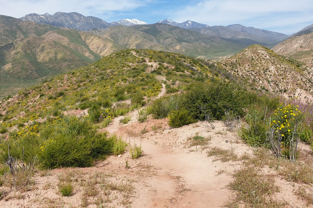 PCT week 4: van Big Bear Lake naar Wrightwood | Reisverslag Amerika 2019 | Amerika 2019 PCT - steeds dichterbij Wrightwood