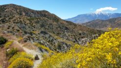 PCT week 3_ van Idyllwild naar Big Bear Lake _ Reisverslag Amerika 2019
