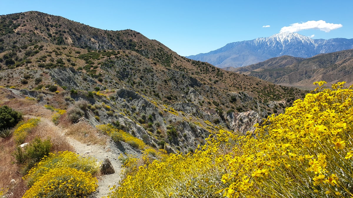 PCT week 3_ van Idyllwild naar Big Bear Lake _ Reisverslag Amerika 2019