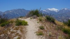 PCT week 4: van Big Bear Lake naar Wrightwood | Reisverslag Amerika 2019