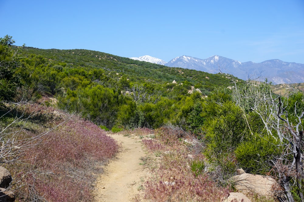 PCT week 4: van Big Bear Lake naar Wrightwood | Reisverslag Amerika 2019 | Amerika 2019 Schitterend stuk PCT naar de McDonalds