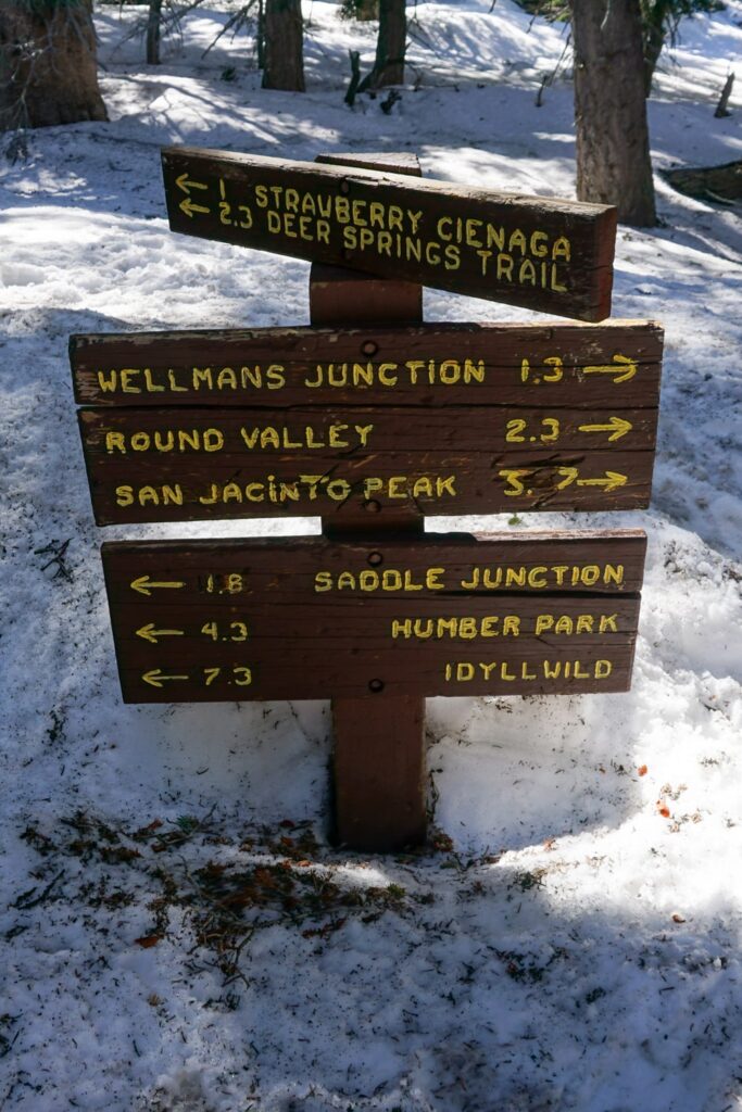 Terug op de trail na Idyllwild