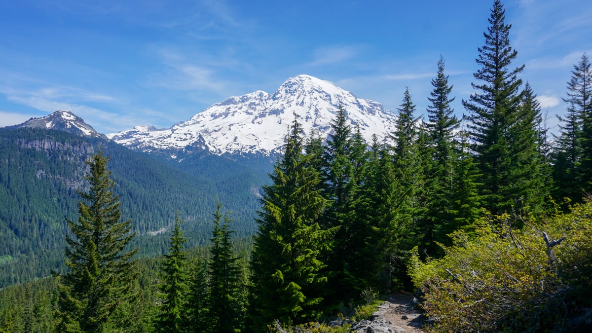 Portland en Mount Rainier National Park _ Reisverslag Amerika 2019