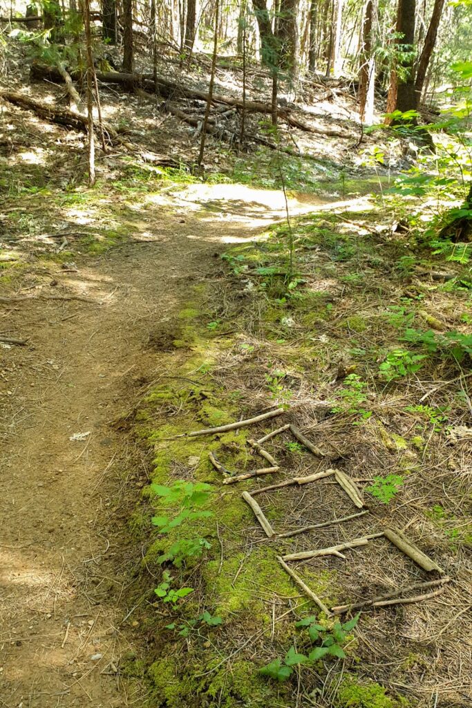 Terug in Californië: Lassen Volcanic & door naar Reno | Reisverslag Amerika 2019 | Amerika 2019 Terug op de PCT in Noord-Californie