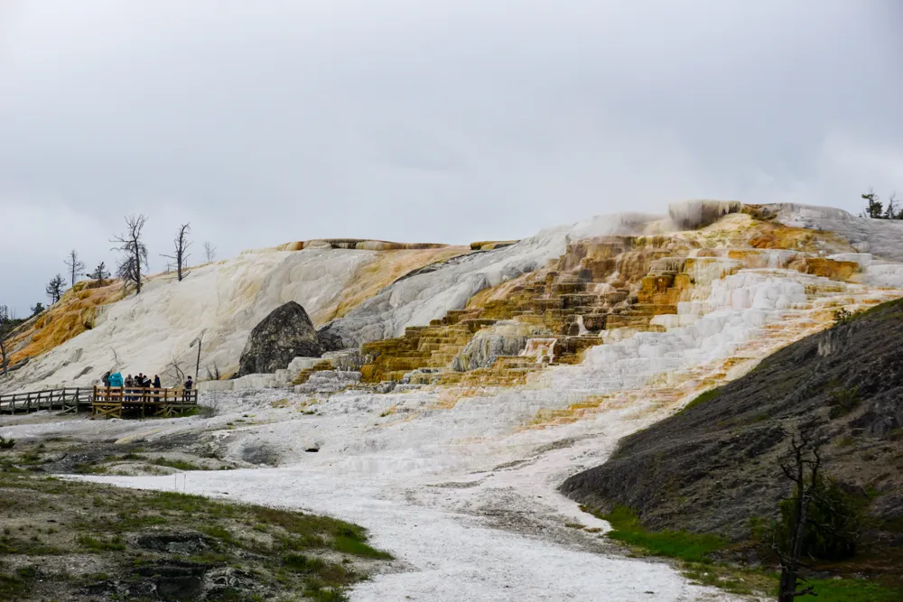 Yellowstone (deel 2): Mammoth Hot Springs en wildlife | Reisverslag Amerika 2019 | Amerika 2019 Mammoth Hot Springs in Yellowstone