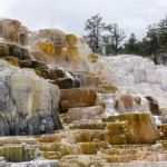Yellowstone (deel 2)_ Mammoth Hot Springs en wildlife _ Reisverslag Amerika 201