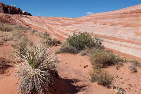 Toffe roadtrips & dagtrips vanuit Las Vegas