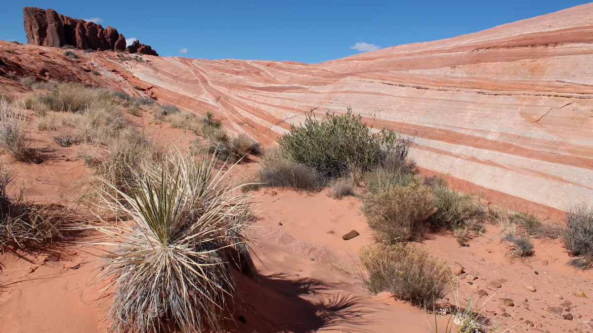 13 Best day trips from Las Vegas (+ short road trip ideas)