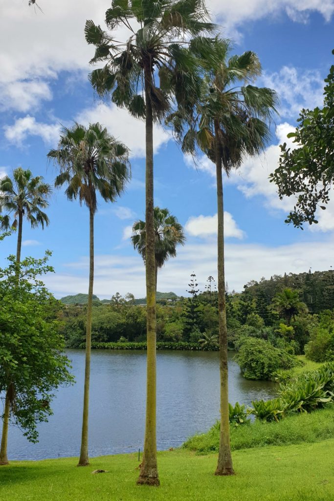Ho omaluhia Botanical Garden