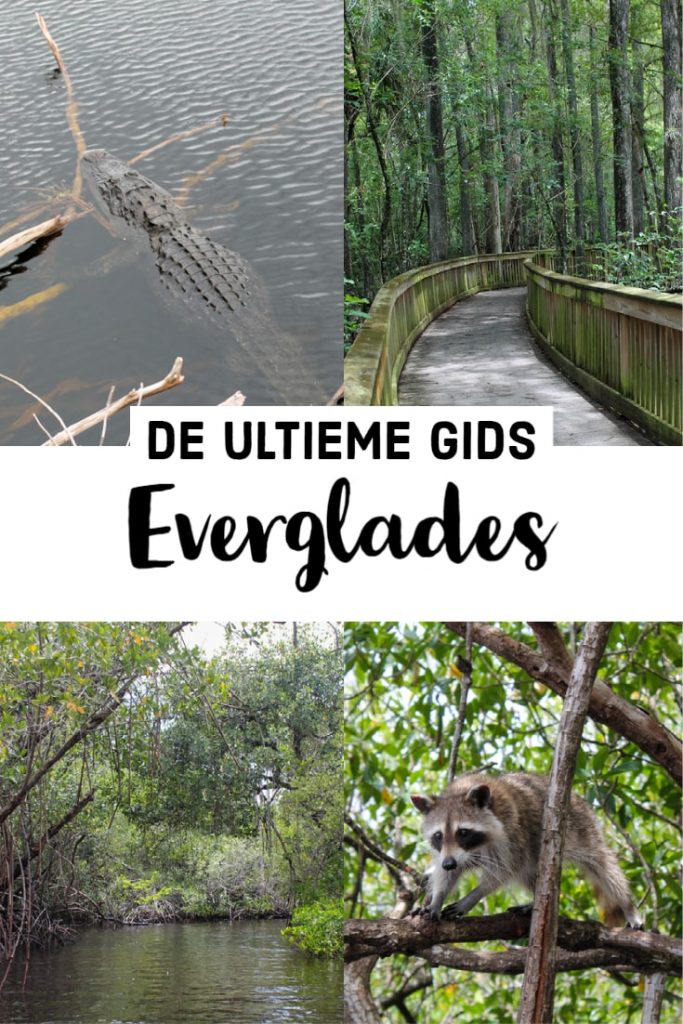 De Everglades in Florida