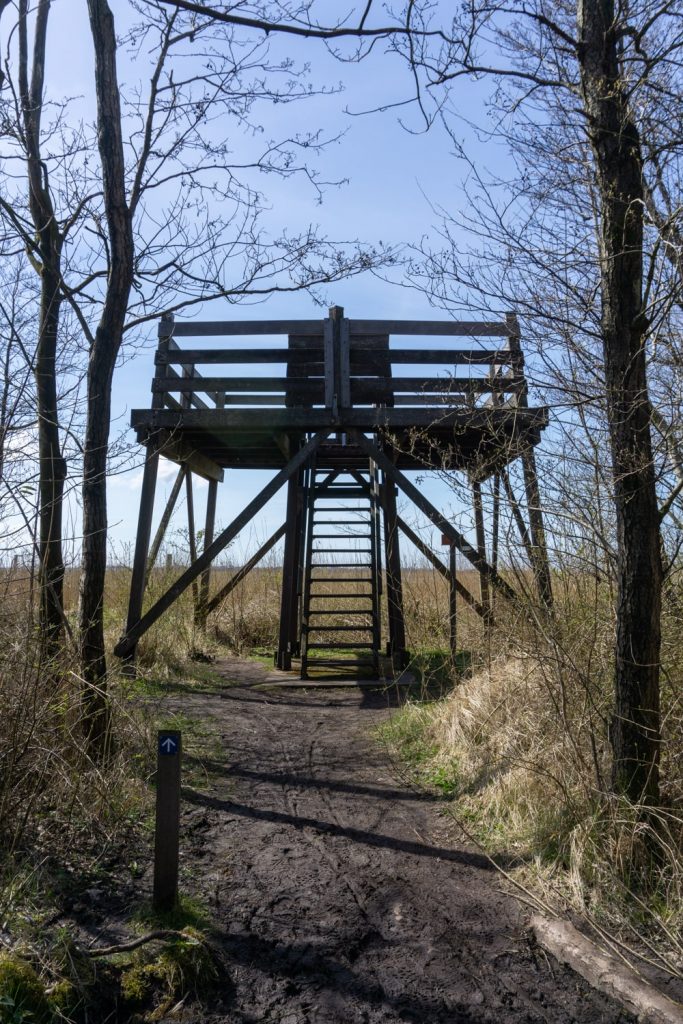 Wandelen in Nationaal Park Lauwersmeer