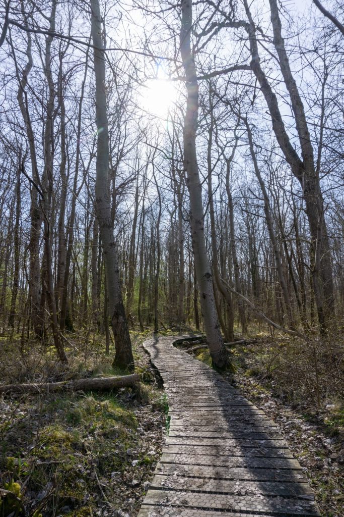 Wandelen in Nationaal Park Lauwersmeer