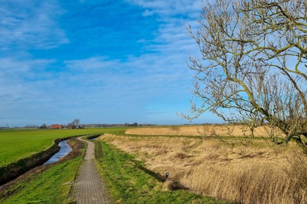 Roots Natuurpad: wandel over het langste natuurpad van Nederland