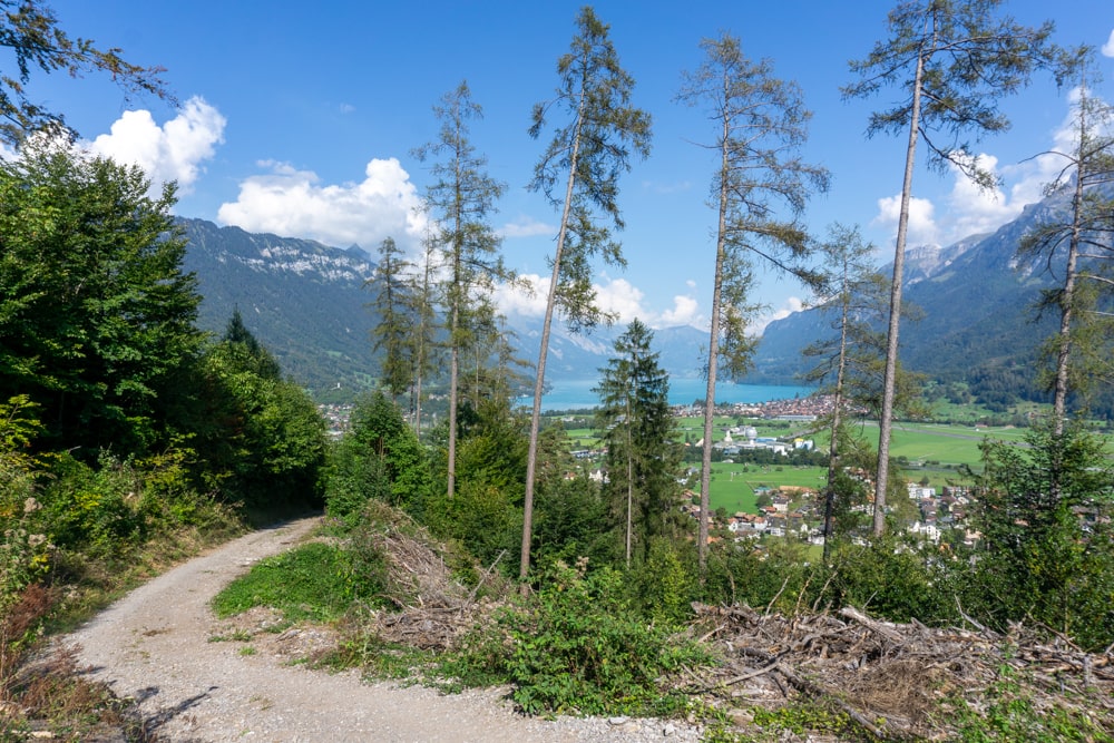 14 leuke Interlaken bezienswaardigheden & praktische tips | Zwitserland Uitzichten vanaf De Rugen in Interlaken