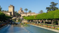 Leuke dagtrips vanuit Sevilla