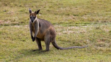 The most beautiful places in Australia