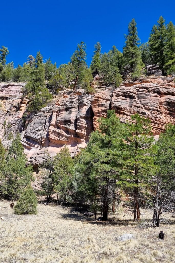 Coconino National Forest bij Flagstaff