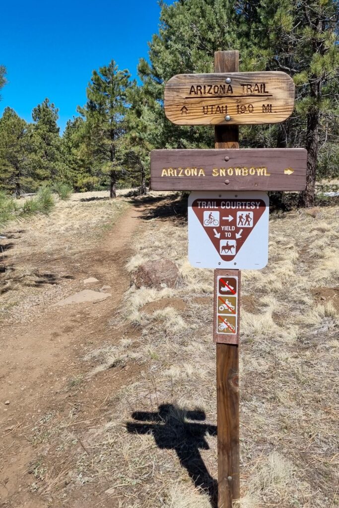 Wandelroutes bij de Arizona Snowbowl