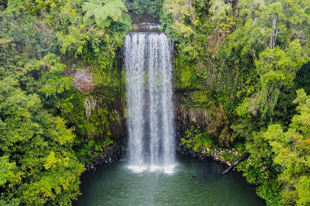 14 Leuke Cairns bezienswaardigheden & toffe dagtrips | Australië Waterval in Atherton Tablelands