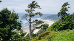 Oregon road trip itinerary