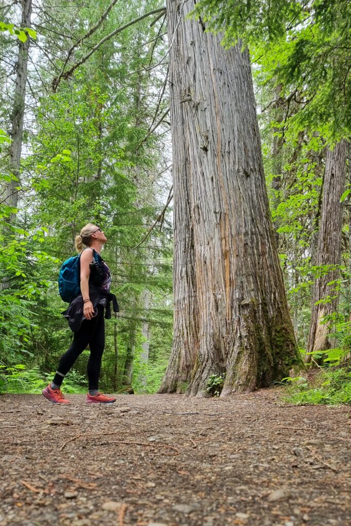 Hiking in Wells Gray Provincial Park