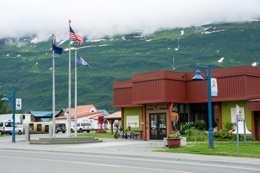 De eerste beer in Alaska! - Reisverslag Canada & Amerika #5 | Canada en Amerika 2024 Valdez