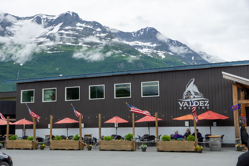 De eerste beer in Alaska! - Reisverslag Canada & Amerika #5 | Canada en Amerika 2024 Valdez