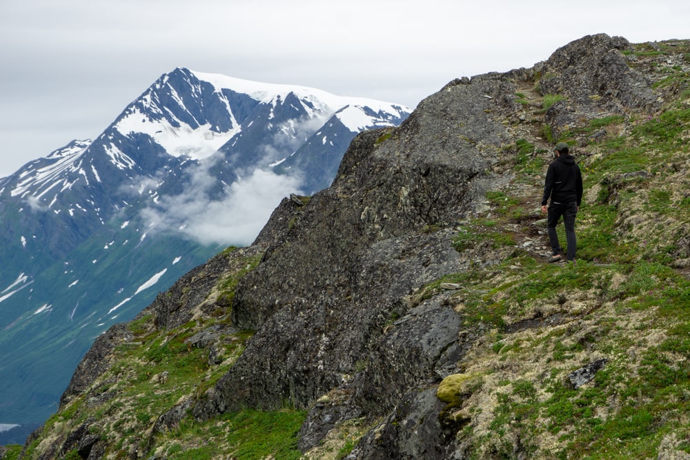 De eerste beer in Alaska! - Reisverslag Canada & Amerika #5 | Canada en Amerika 2024 Wandelen bij Thompson Pass