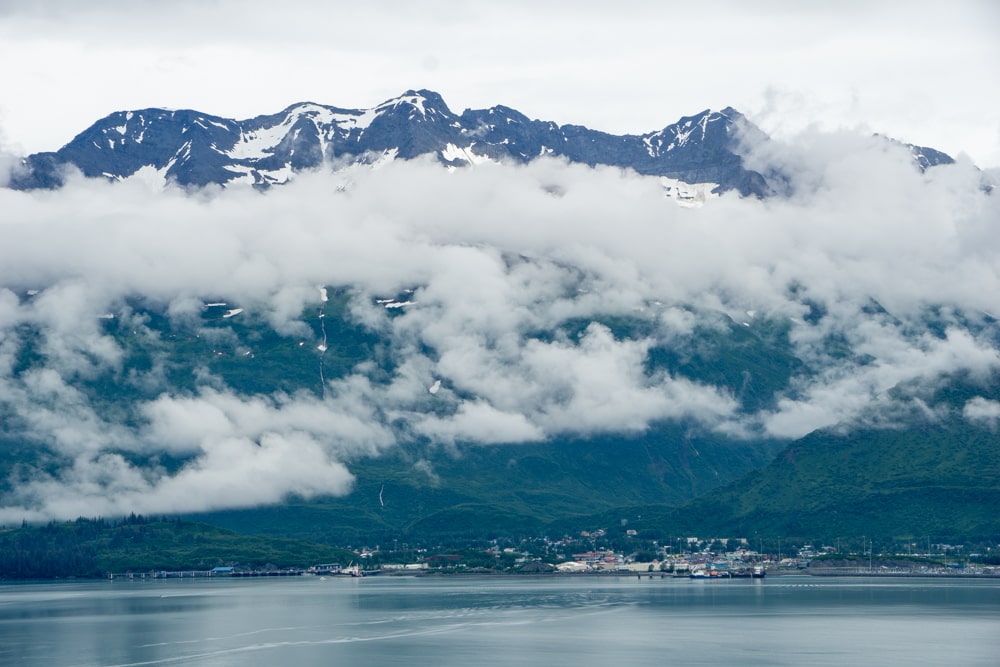 De eerste beer in Alaska! - Reisverslag Canada & Amerika #5 | Canada en Amerika 2024 Wandeling naar Solomon Lake