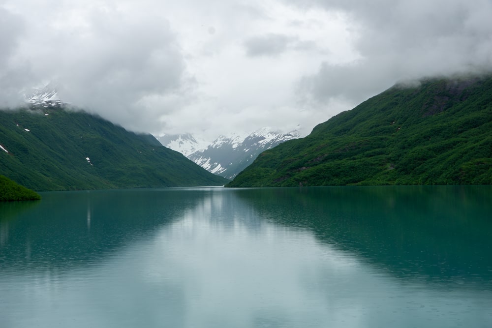 De eerste beer in Alaska! - Reisverslag Canada & Amerika #5 | Canada en Amerika 2024 Wandeling naar Solomon Lake