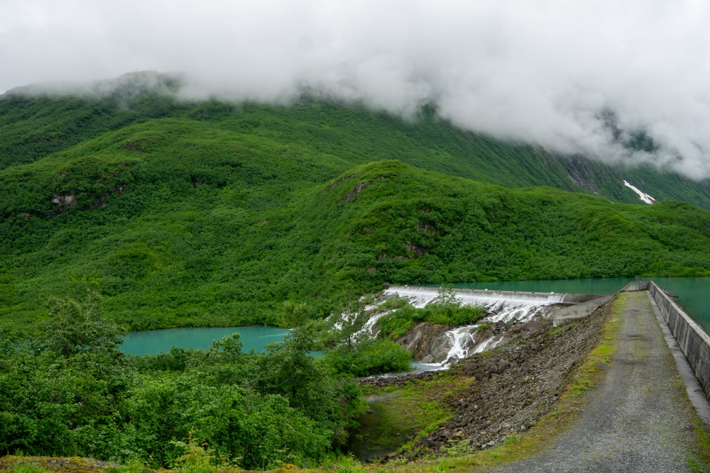De eerste beer in Alaska! - Reisverslag Canada & Amerika #5 | Canada en Amerika 2024 Wandeling naar Solomon Lake