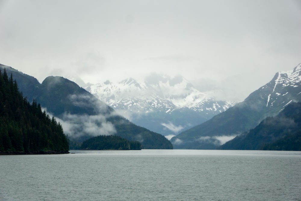 De eerste beer in Alaska! - Reisverslag Canada & Amerika #5 | Canada en Amerika 2024 Op de ferry van Valdez naar Whittier