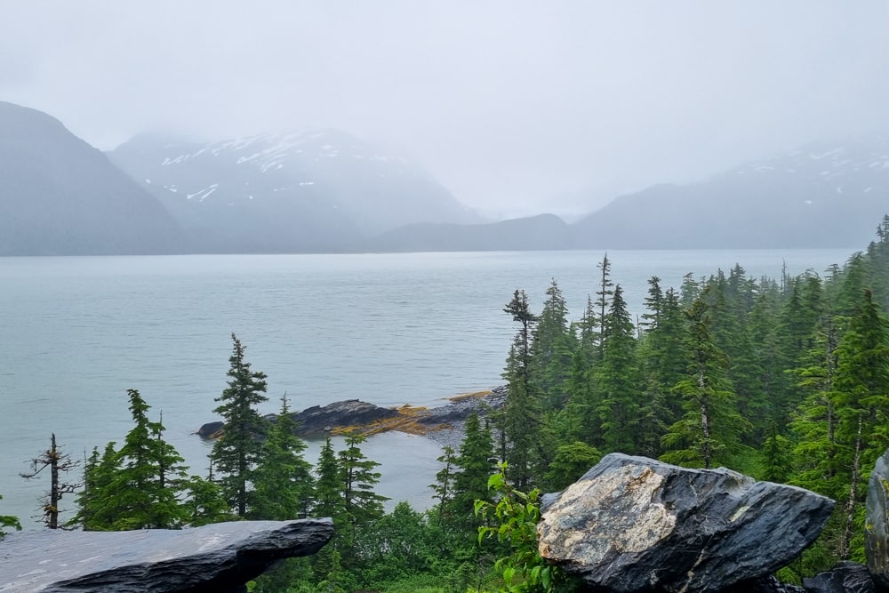 De eerste beer in Alaska! - Reisverslag Canada & Amerika #5 | Canada en Amerika 2024 Whittier