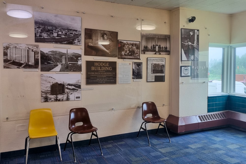 De eerste beer in Alaska! - Reisverslag Canada & Amerika #5 | Canada en Amerika 2024 Whittier