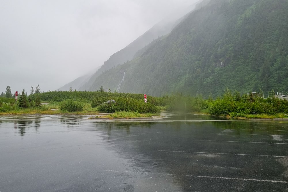 De eerste beer in Alaska! - Reisverslag Canada & Amerika #5 | Canada en Amerika 2024 Regen in Alaska
