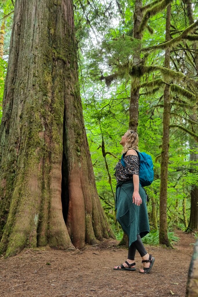 Wandelen in North Cascades National Park