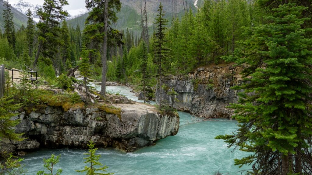 15 West-Canada bezienswaardigheden die je niet mag missen | Canada Ontdek Kootenay National Park_ de hidden gem in de Canadese Rockies