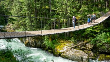 11 best things to do in Whistler in summer