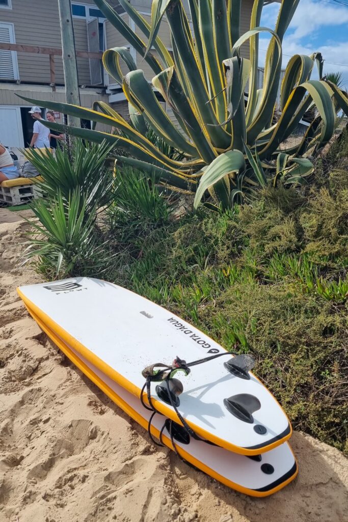 De eerste surfles