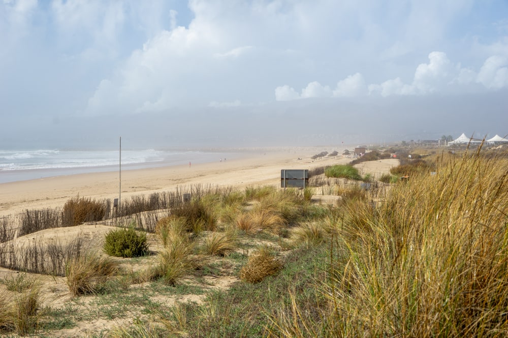 Op surfcamp in Portugal: mijn ervaring met Gota Dagua | Portugal Strand bij Costa da Caparica