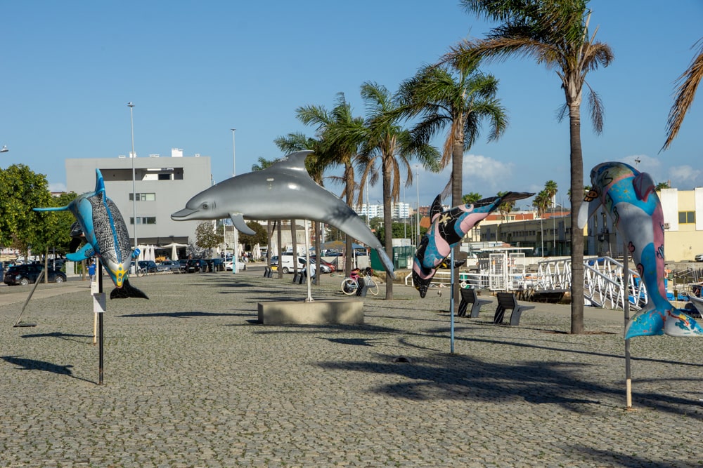 15 Best things to do in Setúbal: discover this hidden gem in Portugal now | Portugal Golfinho Parade