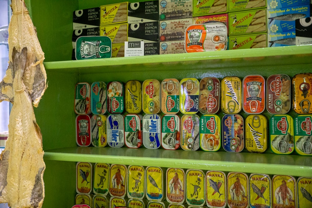 15 Best things to do in Setúbal: discover this hidden gem in Portugal now | Portugal Museu do Trabalho Michel Giacometti