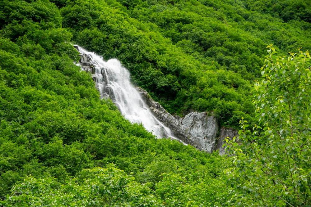 16 best things to do in Valdez Alaska + fun hiking trails | Alaska, United States Hike along Mineral Creek