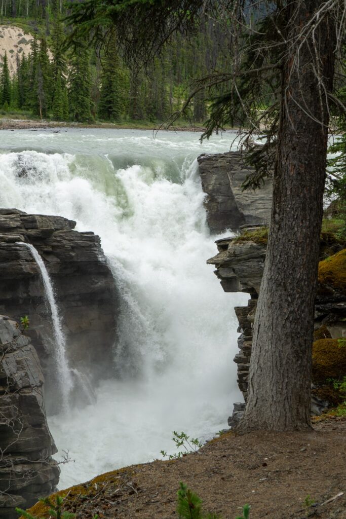 Jasper National Park bezoeken: tips & mooie bezienswaardigheden | Canada Athabasca Falls - Jasper National Park