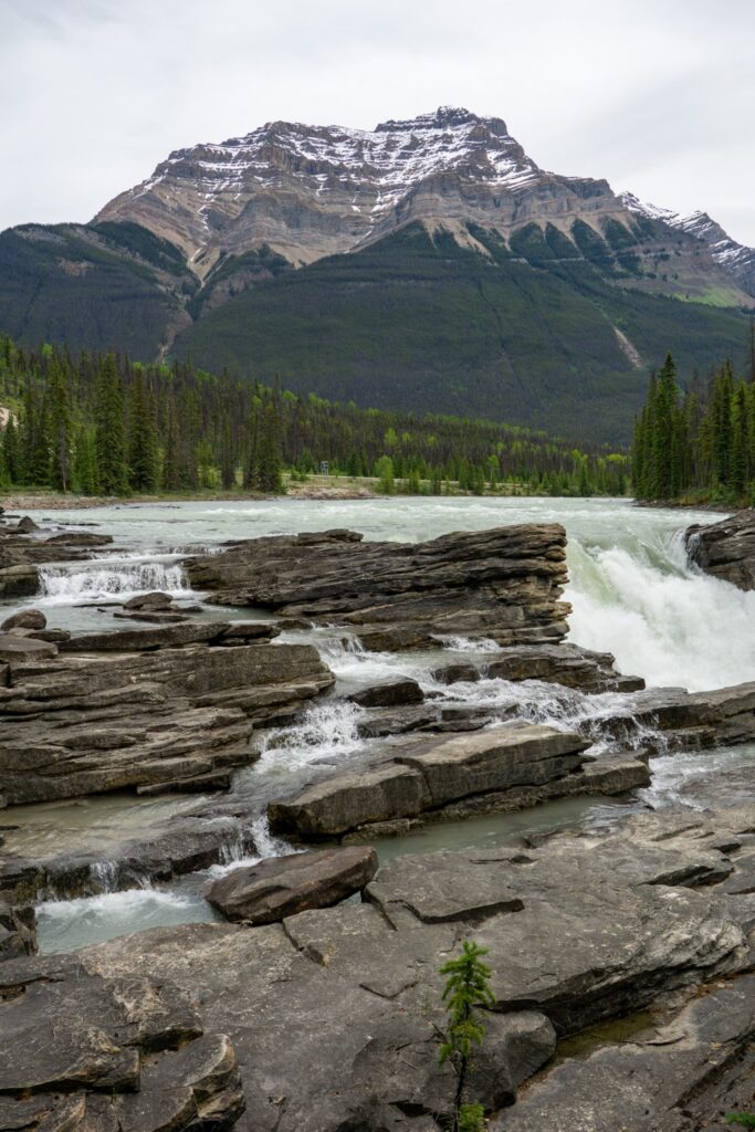 Jasper National Park bezoeken: tips & mooie bezienswaardigheden | Canada Athabasca Falls - Jasper National Park